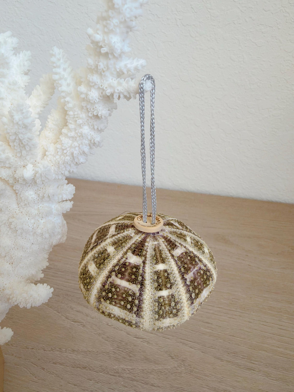 Handmade Mixed Color Sea Urchin Ornaments: Set of 5, Natural Seashell Christmas Tree Decoration