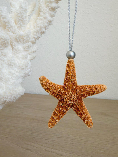 Handmade Sugar Starfish Ornaments: Set of 6, Natural Seashell Christmas Tree Decoration
