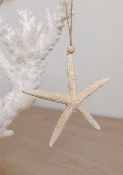 Handmade Sugar & Pencil Starfish Ornaments: Set of 6, Natural Seashell Christmas Tree Decoration
