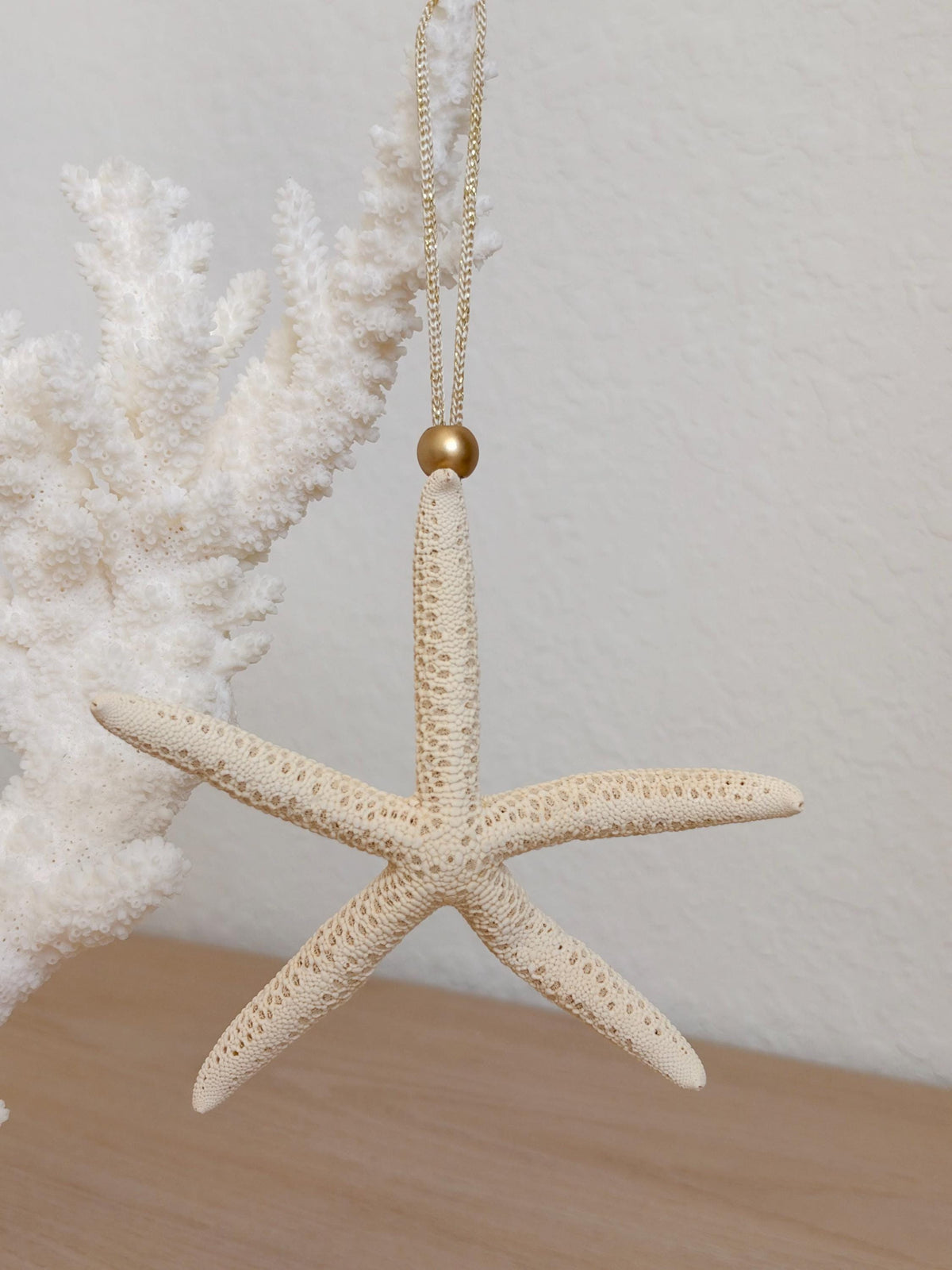 Handmade Sugar & Pencil Starfish Ornaments: Set of 6, Natural Seashell Christmas Tree Decoration