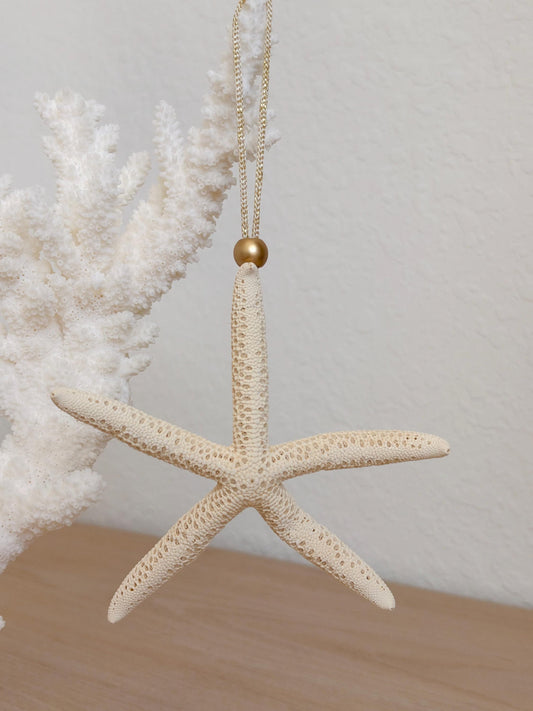 Handmade Sugar & Pencil Starfish Ornaments: Set of 6, Natural Seashell Christmas Tree Decoration