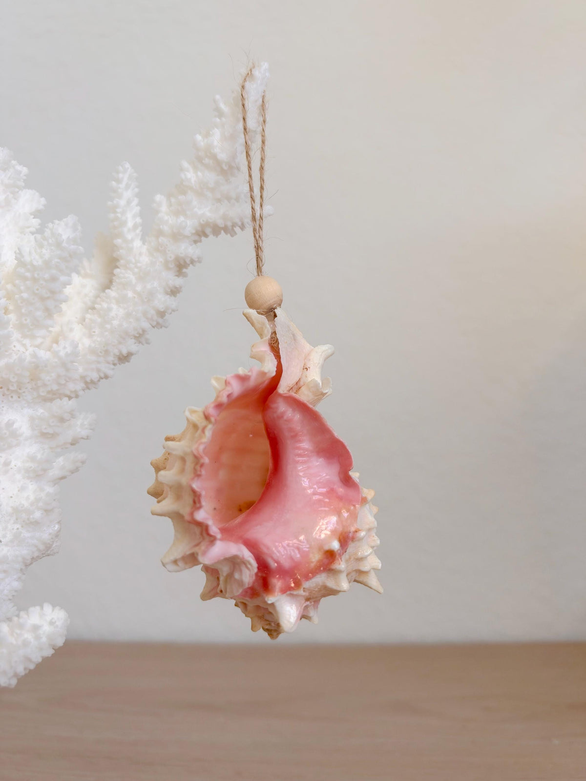Handmade Seashell Ornaments: Set of 6, Natural Shells Christmas Tree Decoration