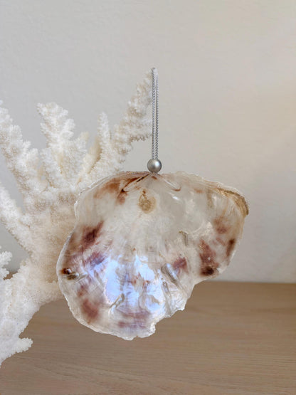Handmade Seashell Ornaments: Set of 6, Natural Shells Christmas Tree Decoration