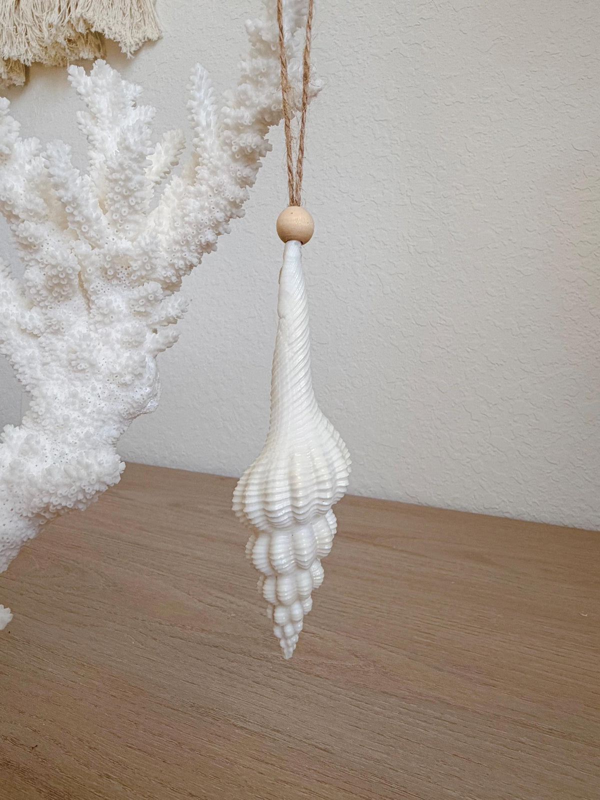 Handmade White Seashells, Urchins, Starfish Ornaments: Set of 6, Natural Christmas Tree Decoration