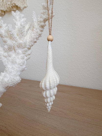 Handmade White Seashells, Urchins, Starfish Ornaments: Set of 6, Natural Christmas Tree Decoration