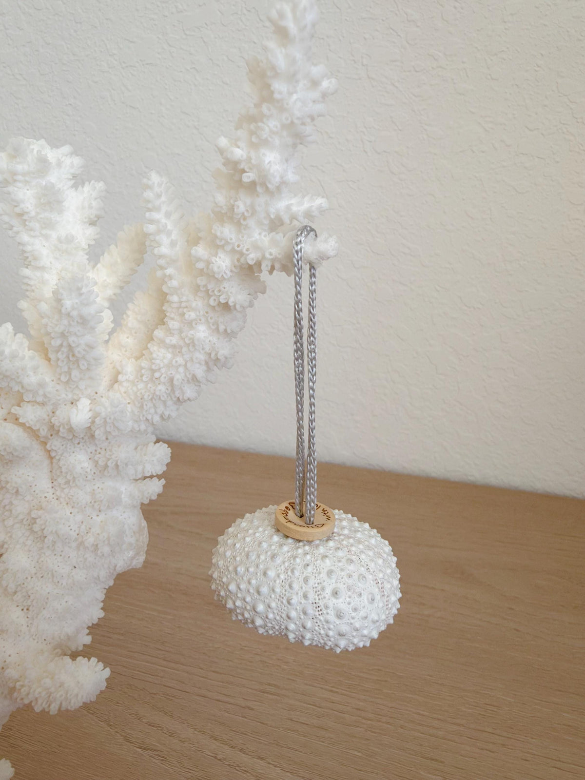 Handmade White Seashells, Urchins, Starfish Ornaments: Set of 6, Natural Christmas Tree Decoration