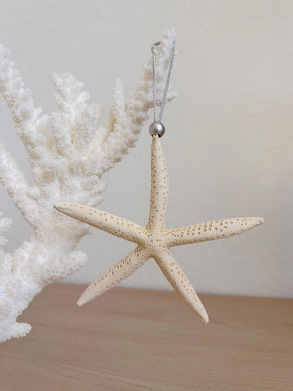 Handmade White Seashells, Urchins, Starfish Ornaments: Set of 6, Natural Christmas Tree Decoration