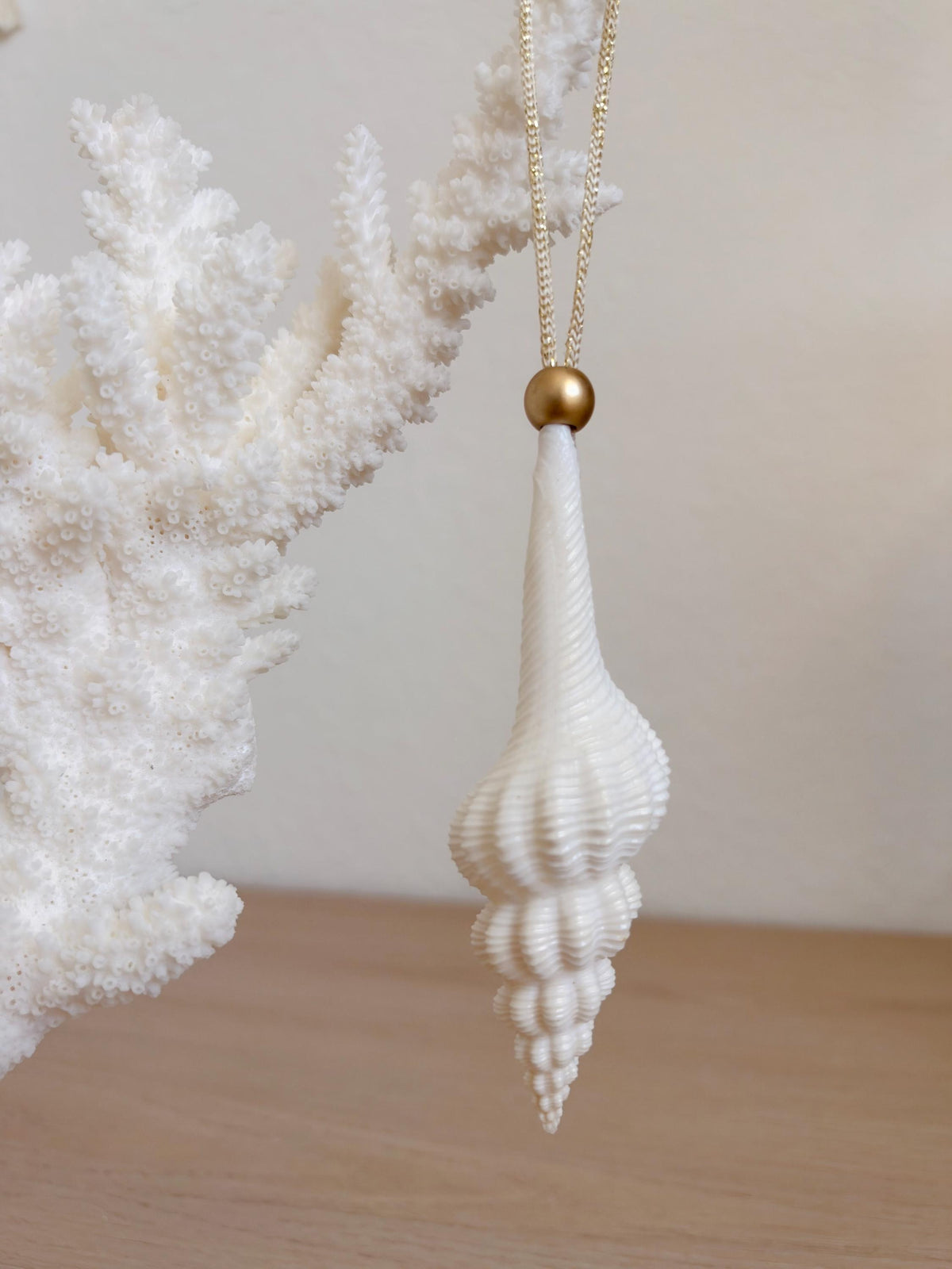 Handmade White Seashells Ornaments: Set of 6 Natural Shells Christmas Tree Decoration