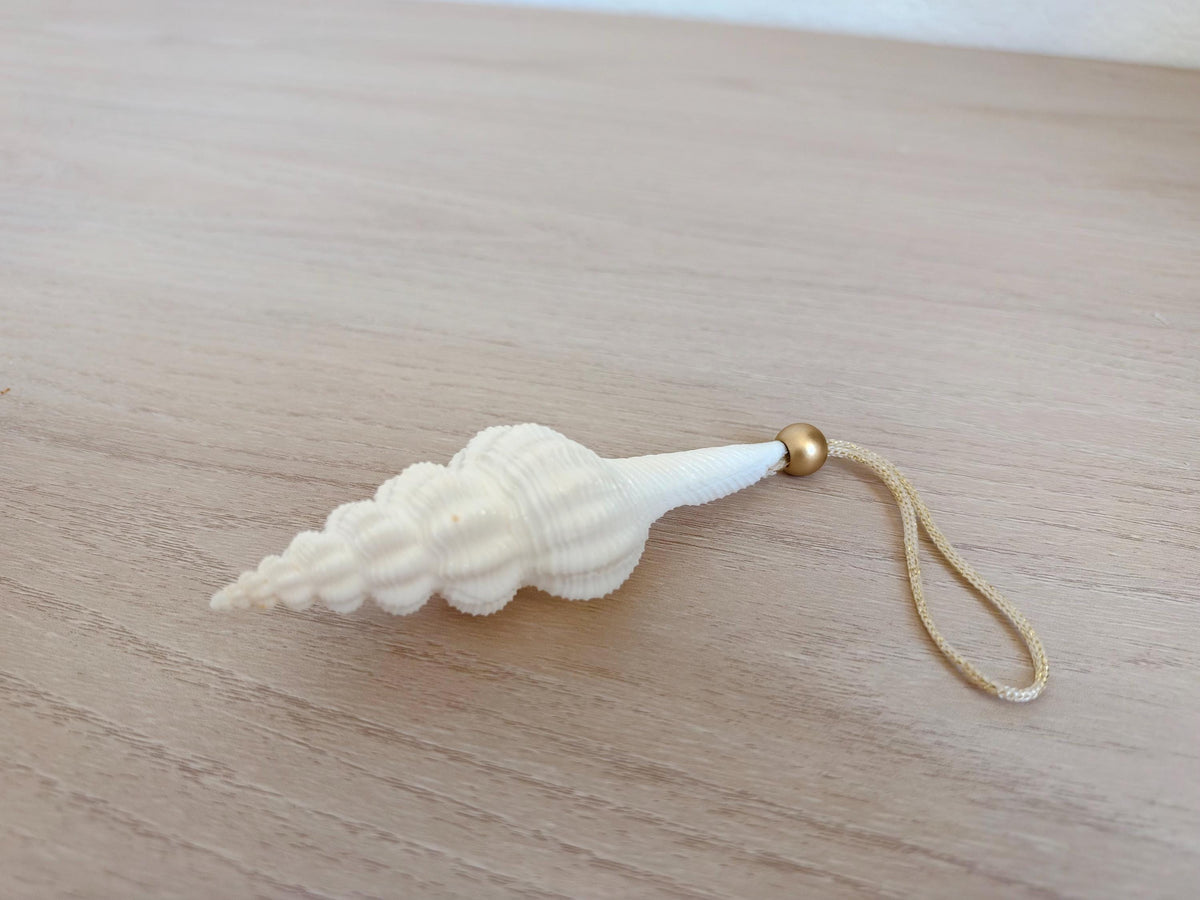 Handmade White Seashells Ornaments: Set of 6 Natural Shells Christmas Tree Decoration
