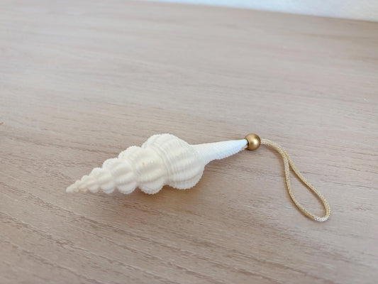 Handmade White Seashells Ornaments: Set of 6 Natural Shells Christmas Tree Decoration