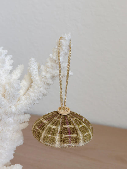 Handmade Seashells, Urchins, Starfish Ornament Set of 6, Natural Christmas Tree Decoration