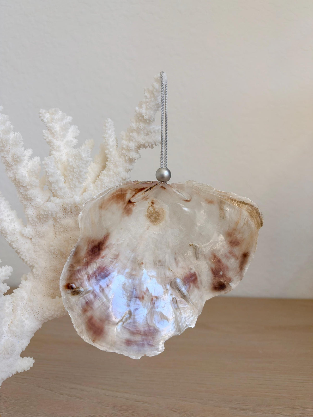 Handmade Seashells, Urchins, Starfish Ornament Set of 6, Natural Christmas Tree Decoration