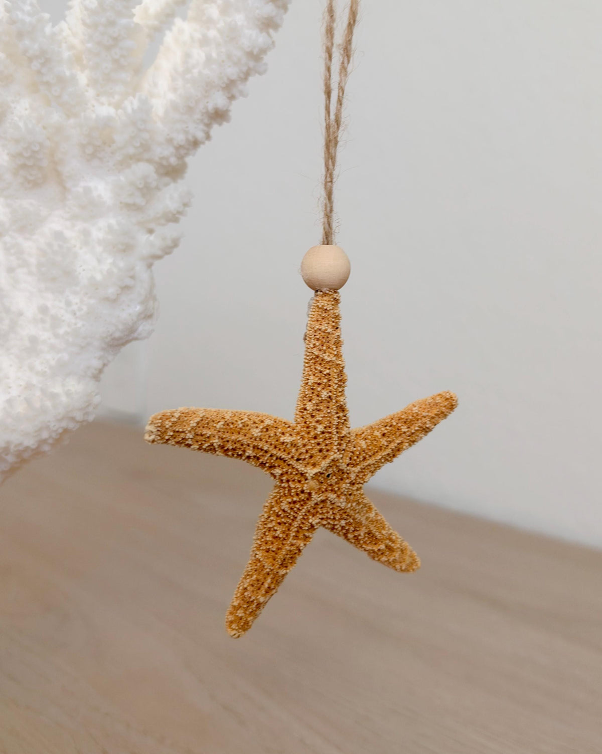 Handmade Seashells, Urchins, Starfish Ornament Set of 6, Natural Christmas Tree Decoration