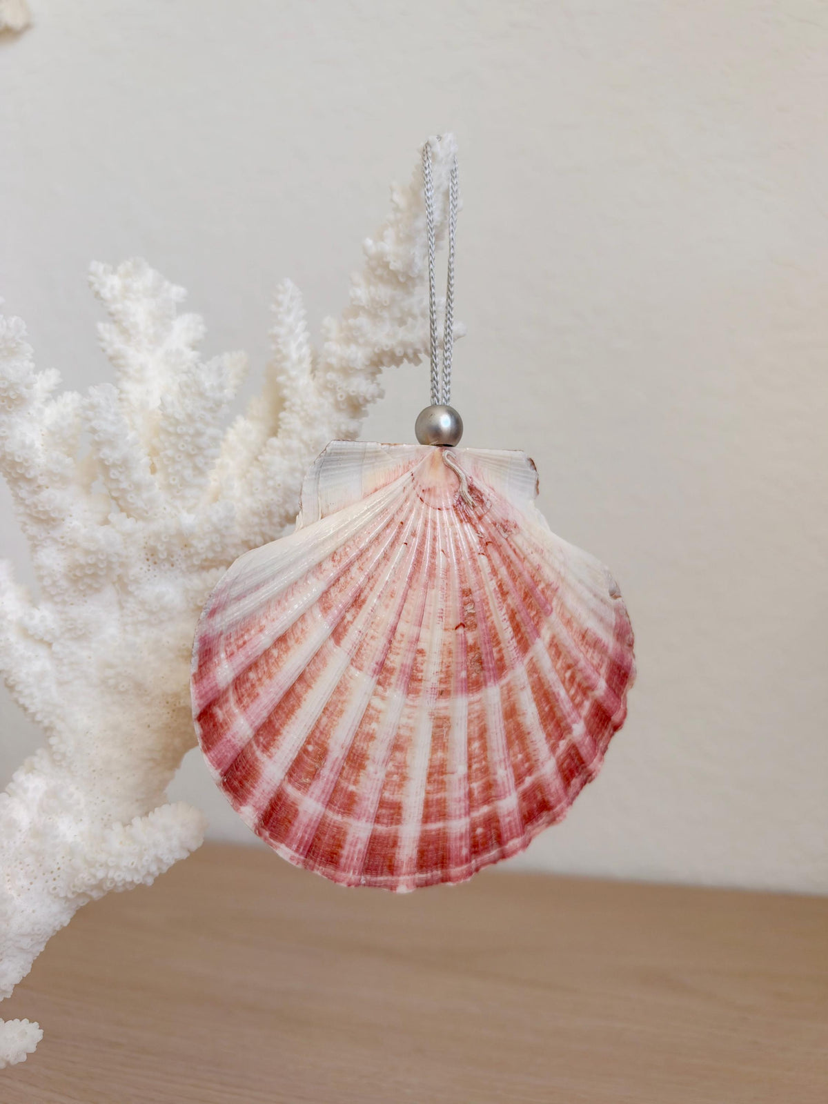Handmade Pink Mermaid Murex & Scallop Seashell Ornaments: Set of 6, Natural Shells Christmas Tree Decoration