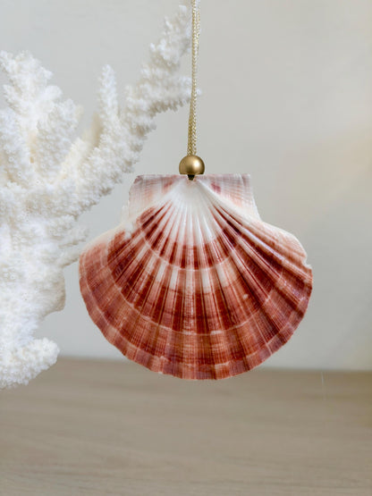 Handmade Pink Mermaid Murex & Scallop Seashell Ornaments: Set of 6, Natural Shells Christmas Tree Decoration