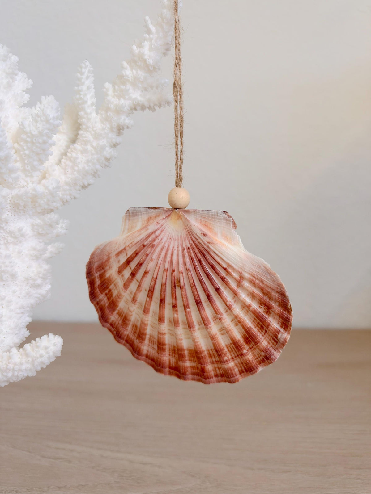 Handmade Pink Mermaid Murex & Scallop Seashell Ornaments: Set of 6, Natural Shells Christmas Tree Decoration