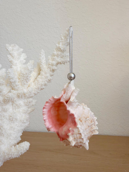 Handmade Pink Mermaid Murex & Scallop Seashell Ornaments: Set of 6, Natural Shells Christmas Tree Decoration