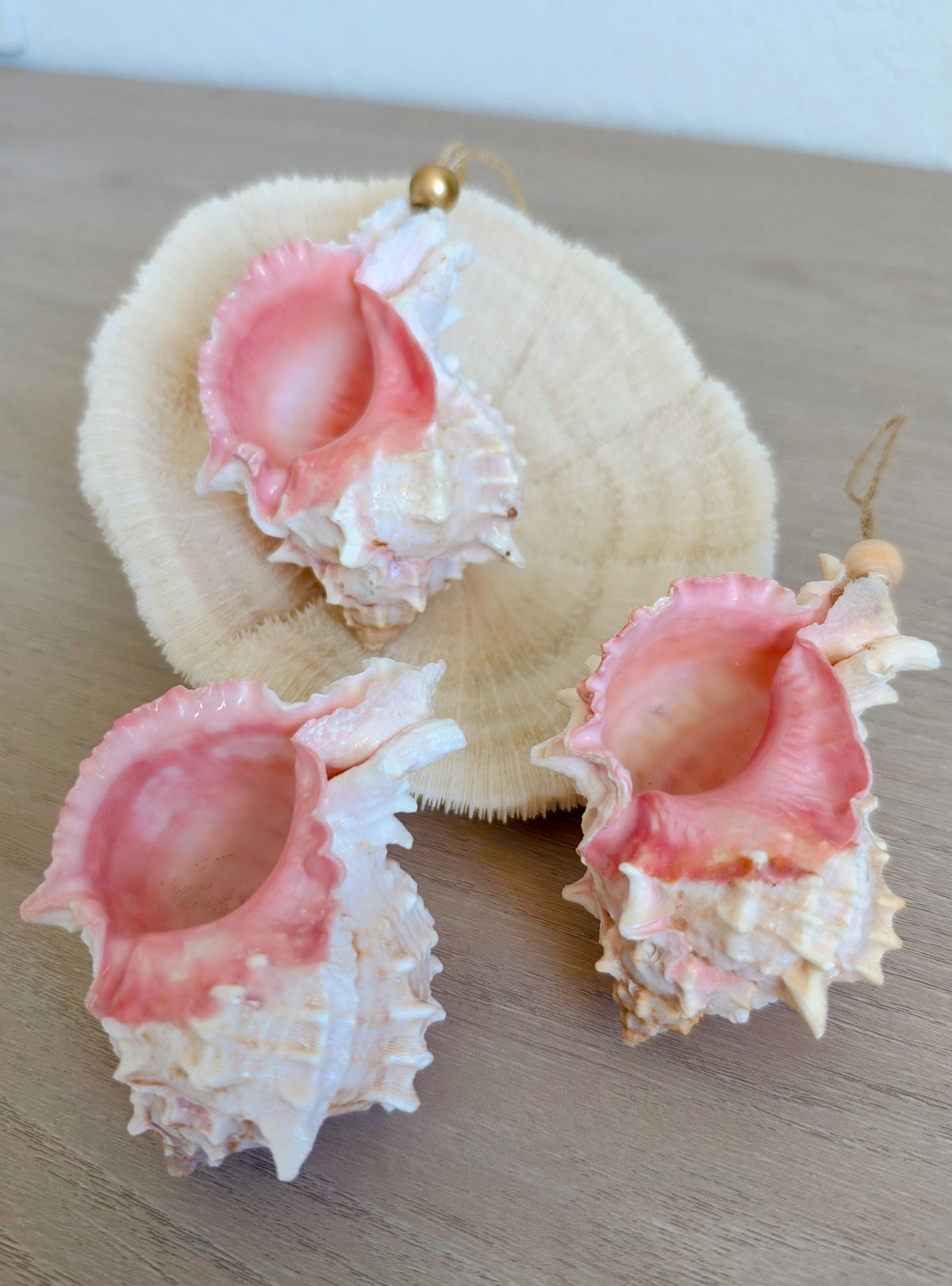 Handmade Pink Mermaid Murex & Scallop Seashell Ornaments: Set of 6, Natural Shells Christmas Tree Decoration