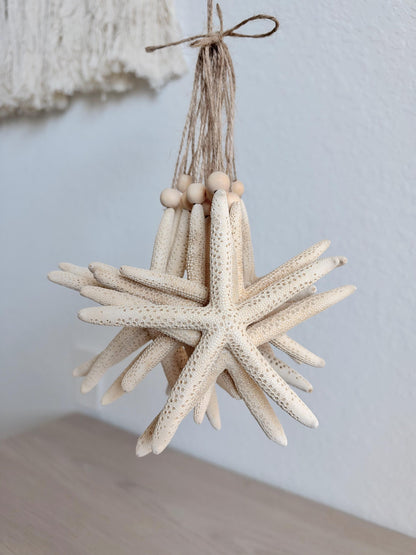 Handmade White Pencil Starfish Ornaments: Set of 6, Natural Seashell Christmas Tree Decoration