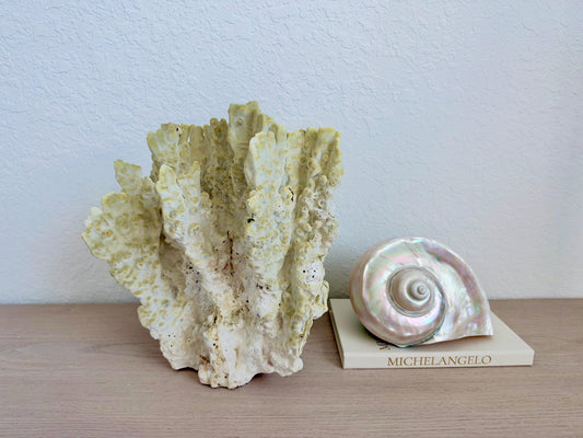 Natural Fire Slab Fossil: 14" x 14" x 12" Coastal Beach House GreenDécor