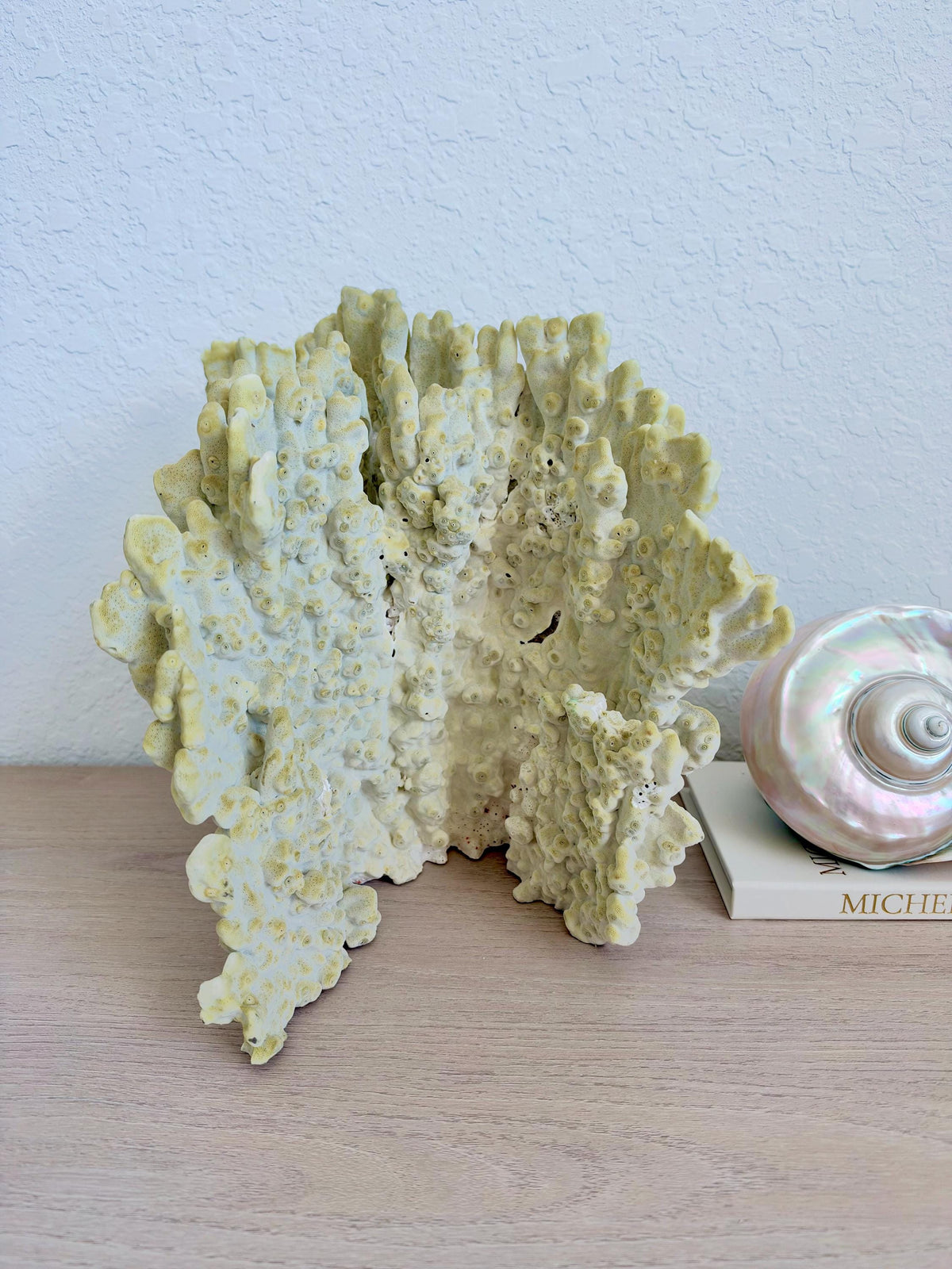 Natural Fire Slab Fossil: 14" x 14" x 12" Coastal Beach House GreenDécor