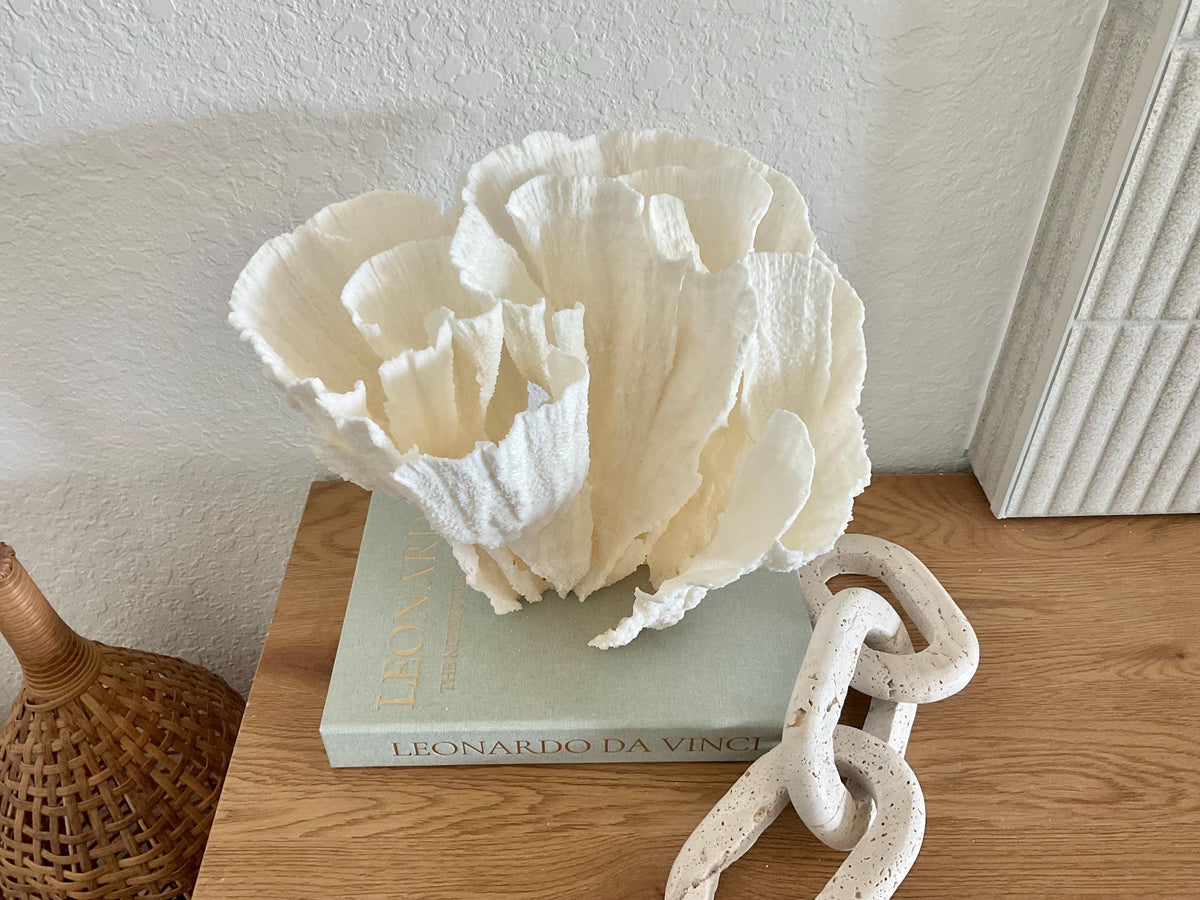 Natural Poca Coral Fossil: 11" x 10" x 9" Coastal Beach House White Décor