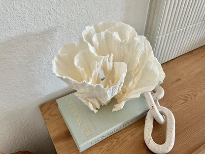 Natural Poca Coral Fossil: 11" x 10" x 9" Coastal Beach House White Décor