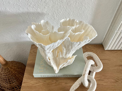 Natural Poca Coral Fossil: 11" x 10" x 9" Coastal Beach House White Décor
