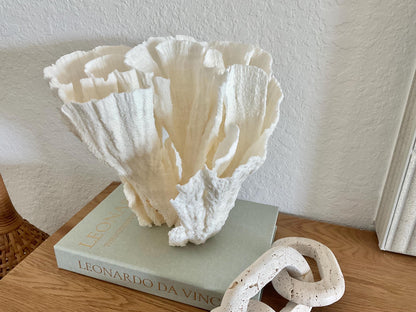 Natural Poca Coral Fossil: 11" x 10" x 9" Coastal Beach House White Décor
