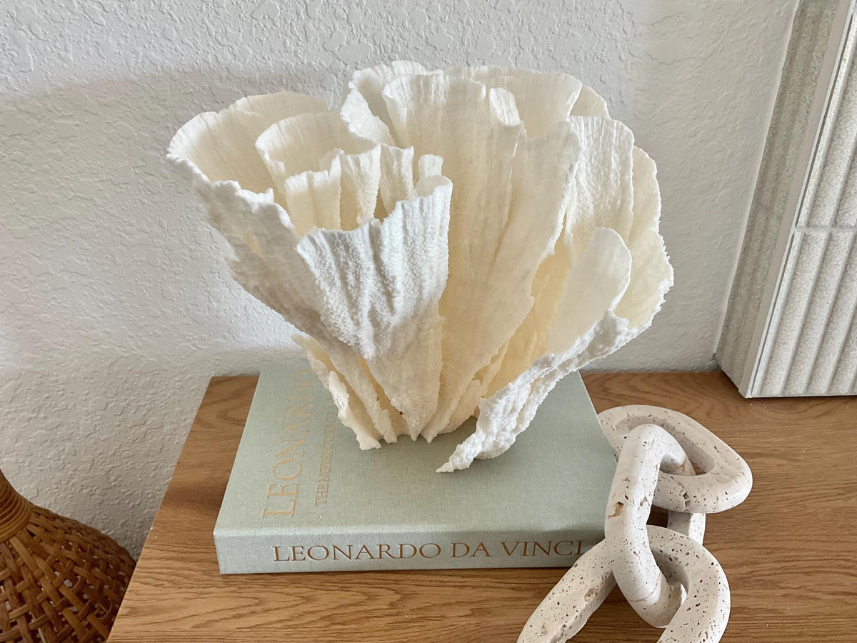 Natural Poca Coral Fossil: 11" x 10" x 9" Coastal Beach House White Décor