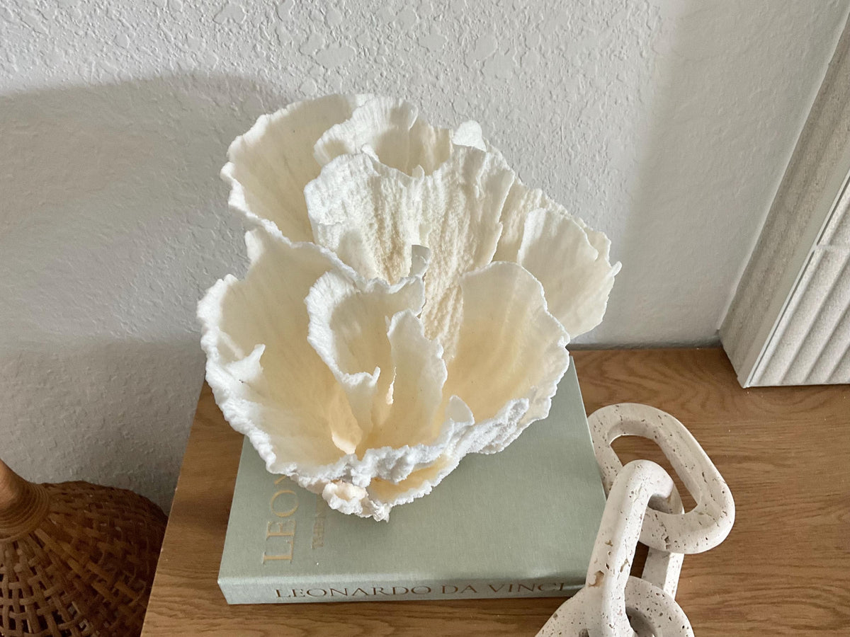 Natural Poca Coral Fossil: 11" x 10" x 9" Coastal Beach House White Décor