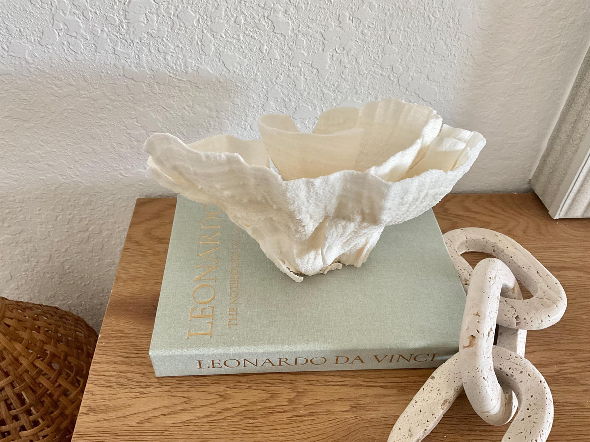 Natural Poca Coral Fossil: 11" x 8" x 7" Coastal Beach House White Décor