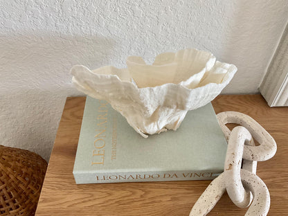 Natural Poca Coral Fossil: 11" x 8" x 7" Coastal Beach House White Décor