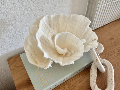 Natural Poca Coral Fossil: 11" x 8" x 7" Coastal Beach House White Décor