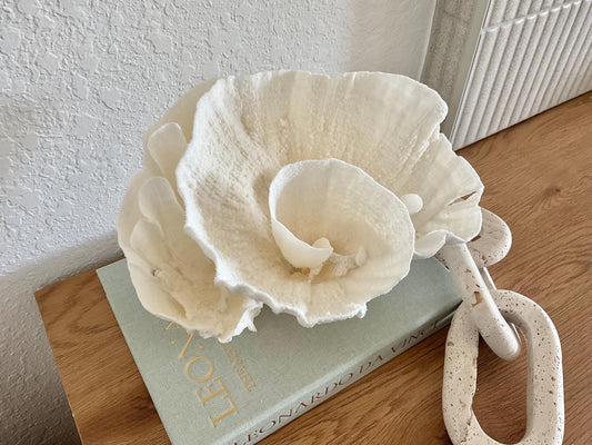 Natural Poca Coral Fossil: 11" x 8" x 7" Coastal Beach House White Décor