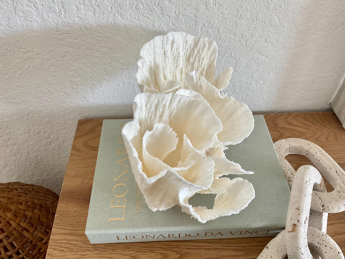Natural Poca Coral Fossil: 10" x 7" x 7" Coastal Beach House White Décor
