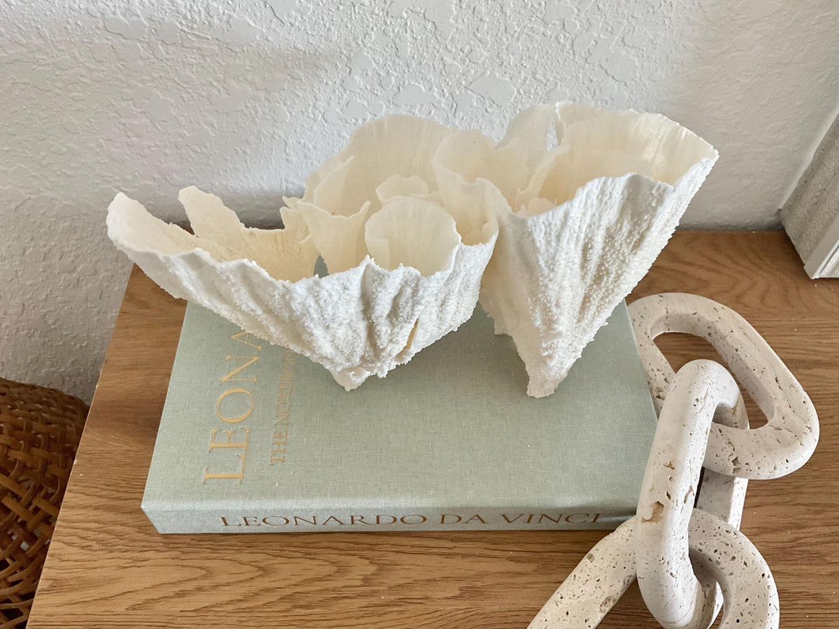 Natural Poca Coral Fossil: 10" x 7" x 7" Coastal Beach House White Décor