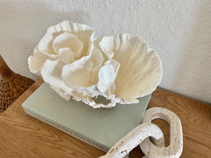 Natural Poca Coral Fossil: 10" x 7" x 7" Coastal Beach House White Décor