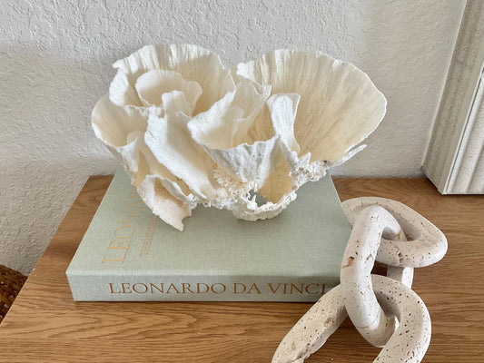 Natural Poca Coral Fossil: 10" x 7" x 7" Coastal Beach House White Décor