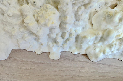 Natural Fire Slab Fossil: 18" x 8" x 6" Coastal Beach House Green Décor