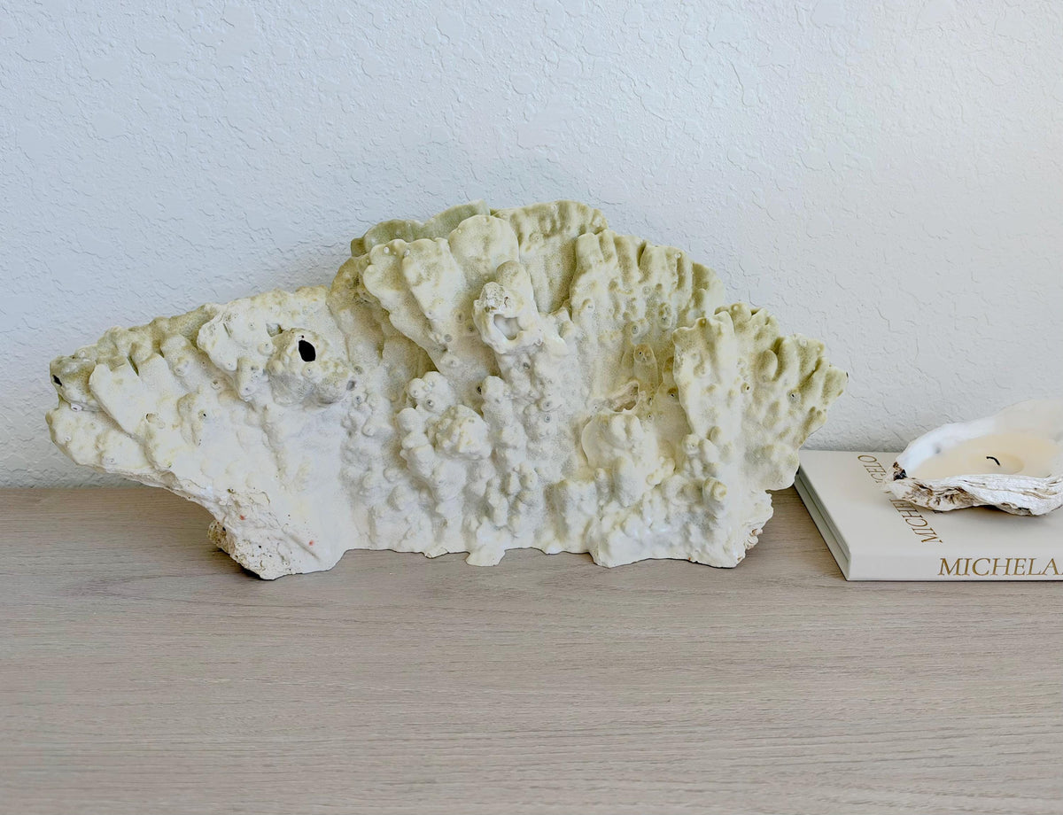 Natural Fire Slab Fossil: 18" x 8" x 6" Coastal Beach House Green Décor