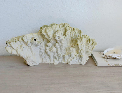 Natural Fire Slab Fossil: 18" x 8" x 6" Coastal Beach House Green Décor