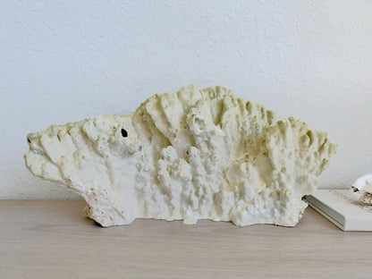 Natural Fire Slab Fossil: 18" x 8" x 6" Coastal Beach House Green Décor
