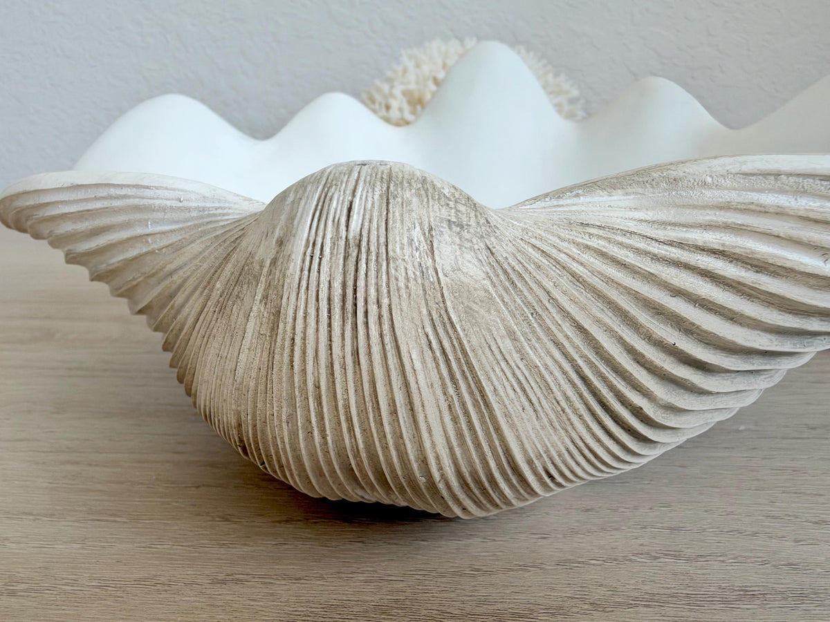 Custom Color Decorative Clam Shell Bowl, 10.5" White or Aged Oyster Grey