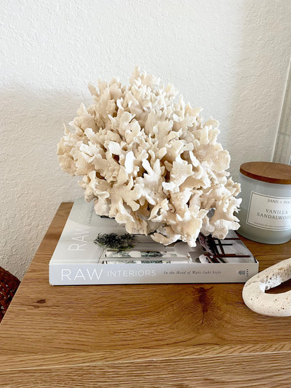 Beige Cactus Coral Fossil 13.5" x 11.5" x 10.5" XL Extra LARGE 100% Natural Specimen