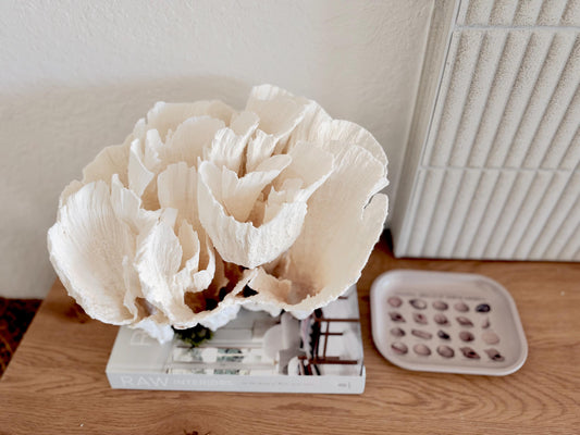 Natural Poca Coral Fossil: 12.75" x 10" x 8.75" Coastal Beach House White Décor