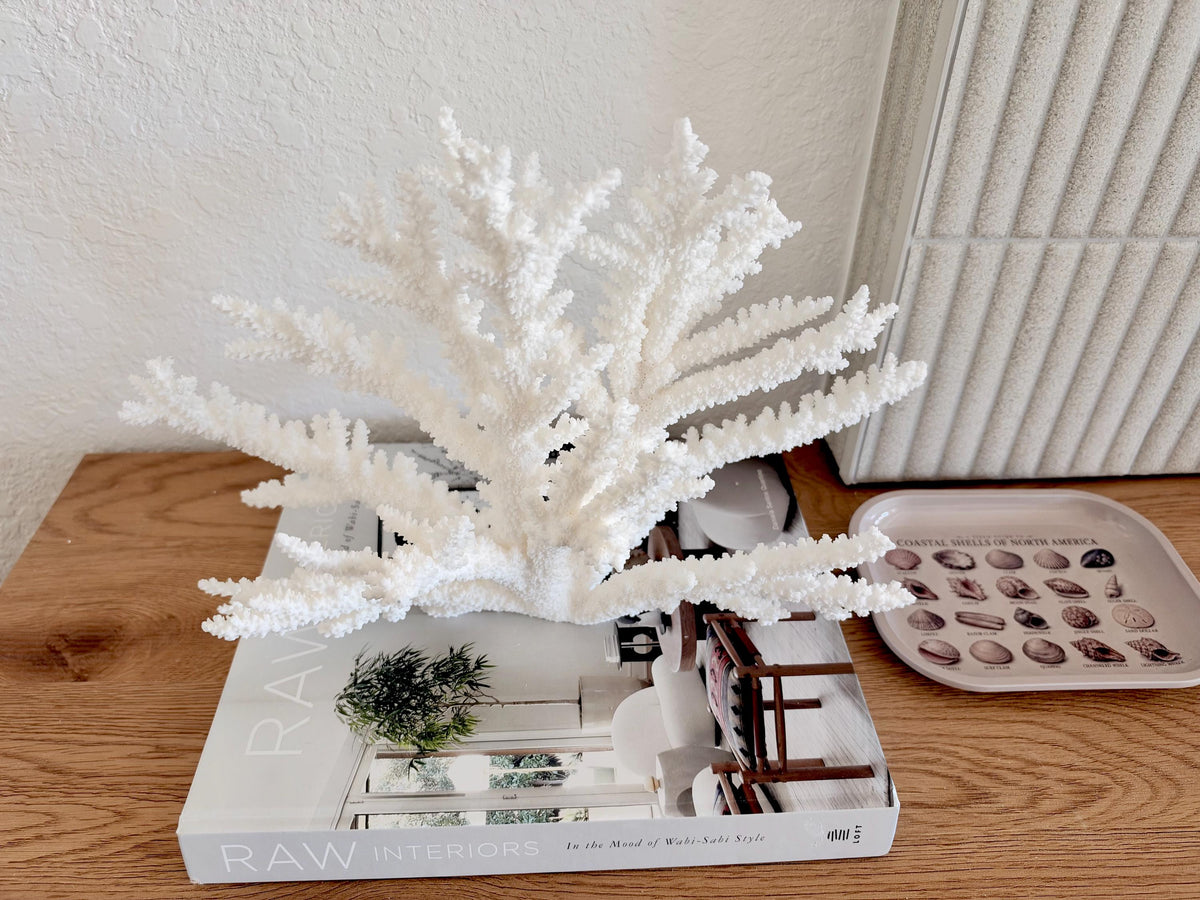 Branch Coral Fossil Specimen: 14.5" x 9.75"x 6" Coastal Beach House Décor
