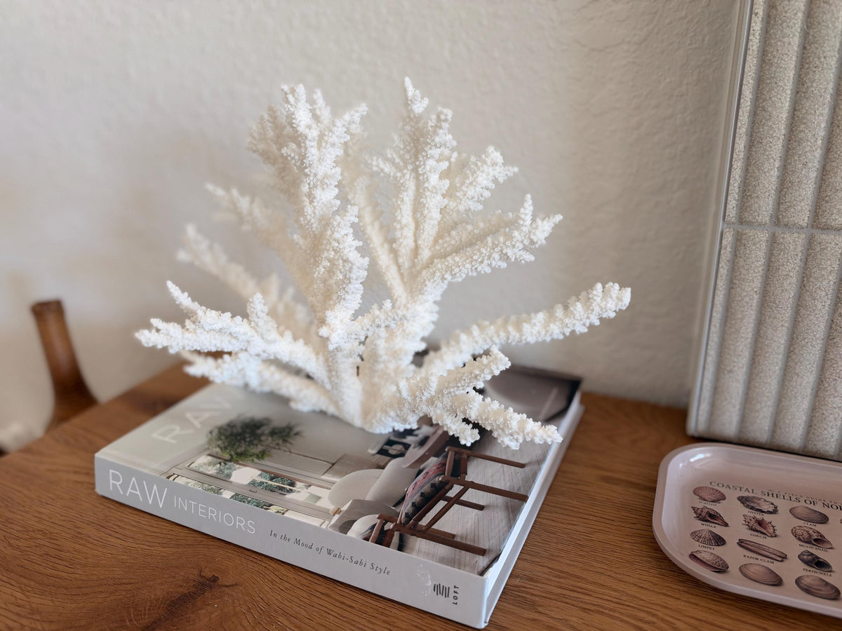 Branch Coral Fossil Specimen: 14.5" x 9.75"x 6" Coastal Beach House Décor