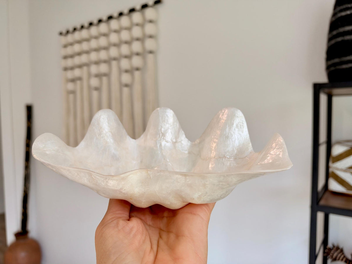 Capiz Clam Shell Bowl 8"x4"x3" Scalloped Edge Dish Seashell Ivory Coastal Home Décor
