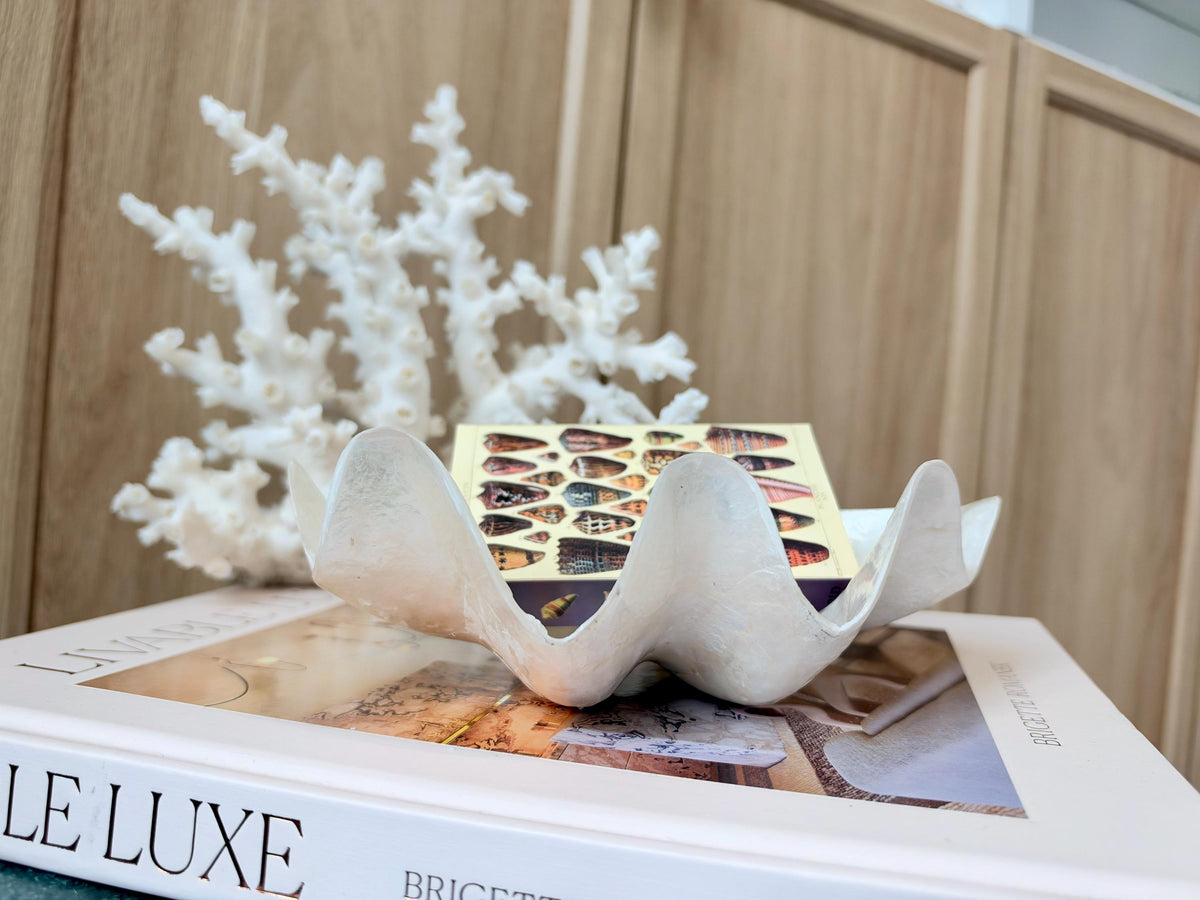 Capiz Clam Shell Bowl 8"x4"x3" Scalloped Edge Dish Seashell Ivory Coastal Home Décor